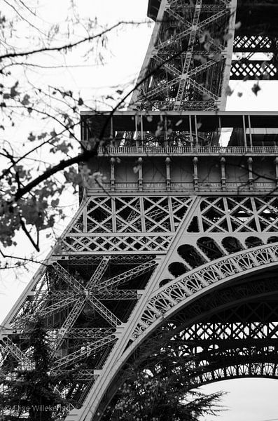 Paris - Eiffelturm durch die Bäume - Schwarz und weiß von Eline Willekens