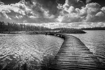 Houten vlonder in Broekpolder