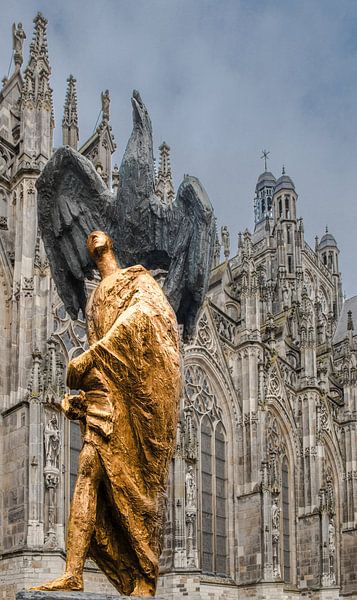 Kijk Omhoog van Sjoerd Van der Pluijm