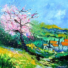 Blooming Provence by pol ledent