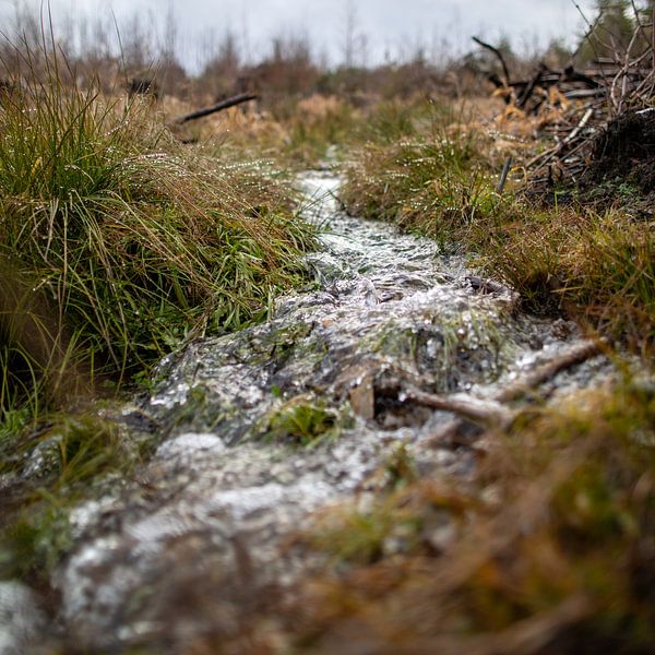 Stream after the snow has melted by t.ART