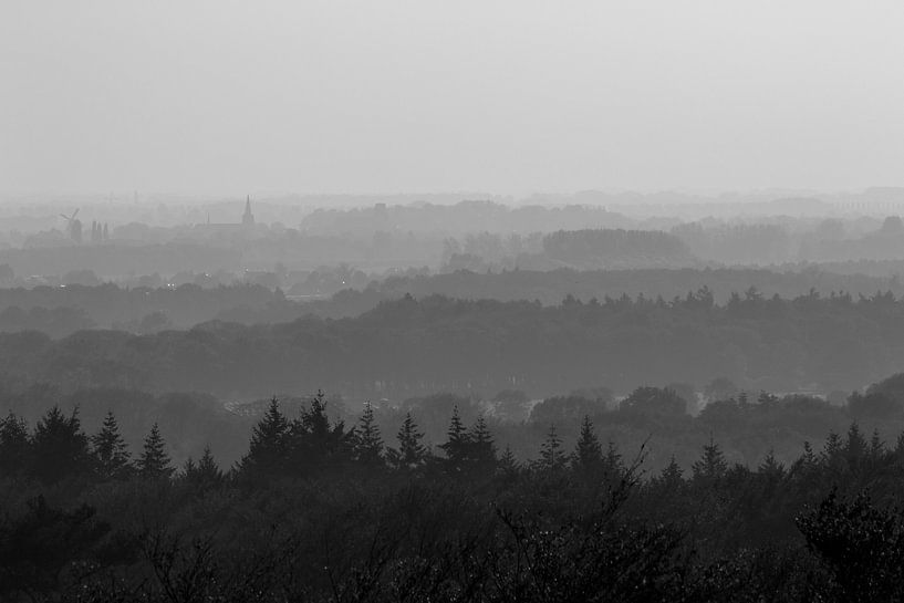 Kap-Wälder von sophiimage