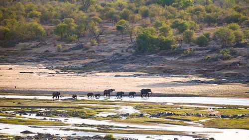 Rivière Elephant