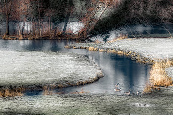 Winding through the frost.