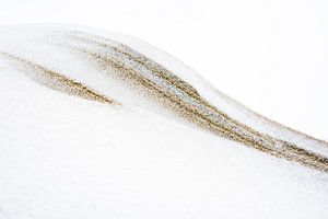 Façonné par la neige et le sable