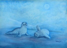 Zeehondjes by Marloes Boer