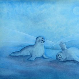 Zeehondjes sur Marloes Boer