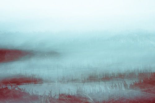 Impressionist photographic work Riverbank Reed