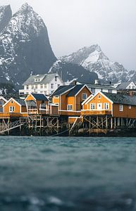 Sakrisoy Lofoten sur Martijn Kort