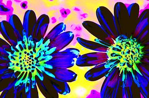 Zwei Blumen