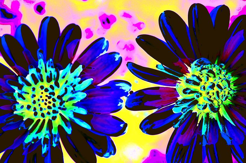 Deux fleurs par De Rover