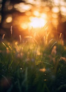 Goldene Stunde