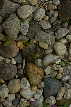 Stones