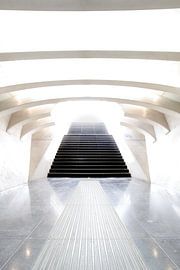 Stairway to Heaven by Marko | Bestemming Buitenlucht