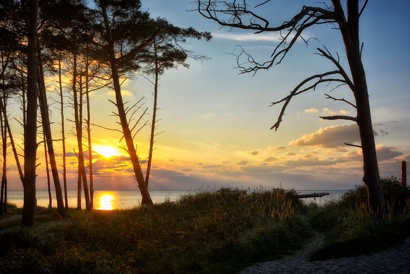 Coucher de soleil sur la plage ouest par Claudia Moeckel