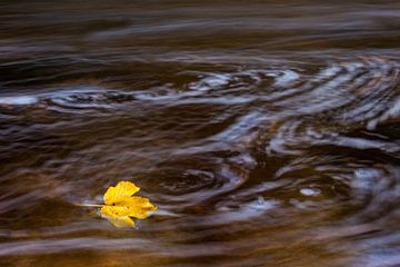 Stuck by Harold van den Berge