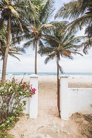 Gambia beach by Andy Troy
