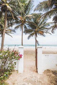 Gambia strand van Andy Troy