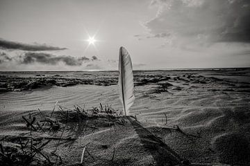 Nature morte de la plage sur Lydia