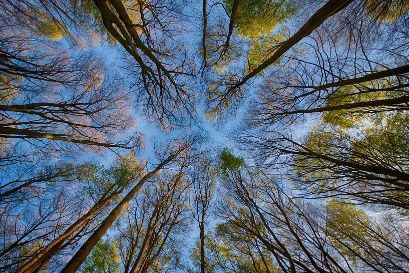 High in the sky!! by Charelle Roeda