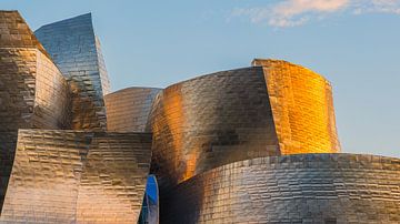 Guggenheim Museum, Bilbao van Henk Meijer Photography