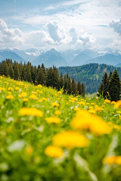 View with dandelion of the Oberallgäu and Oberstdorf by Leo Schindzielorz