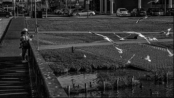 Gull feeding in Oosterheem by Ton Van Zeijl