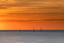 Fishing poles in orange evening light by Ton van den Boogaard