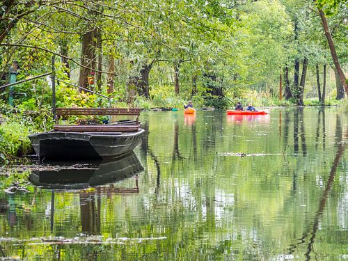 Sur la Spree dans la Spreewald près de Lübbenau