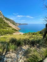 Mallorca - Cala Coll Baix