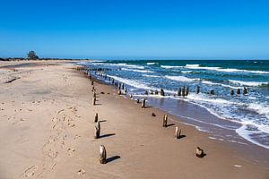 Buhnen an der Küste der Ostsee bei Kühlungsborn