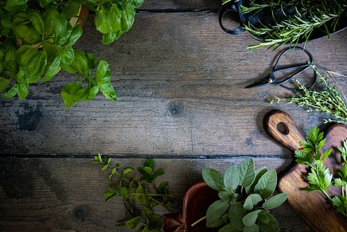 Frisch gepflückte Küchenkräuter auf dem Holztisch