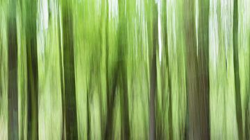 Dunkle Bäume in einem grünen Wald von Kris Christiaens