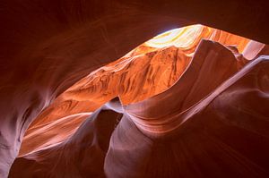 Antelope Upper Canyon 5 - Arizona  - USA