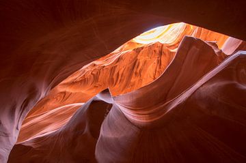 Antelope Upper Canyon 5 - Arizona  - USA van Danny Budts