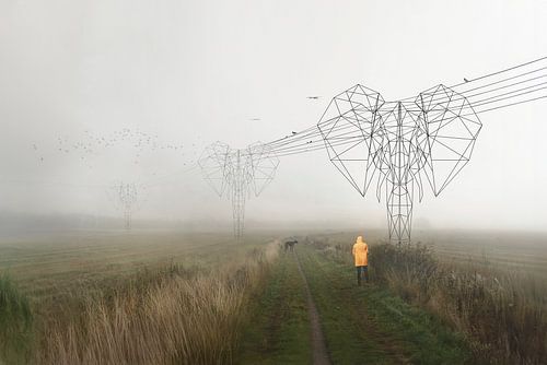Elektriciteitspalen in Landschap - Creatieve Beeldmanipulatie voor Inspiratie en Esthetiek