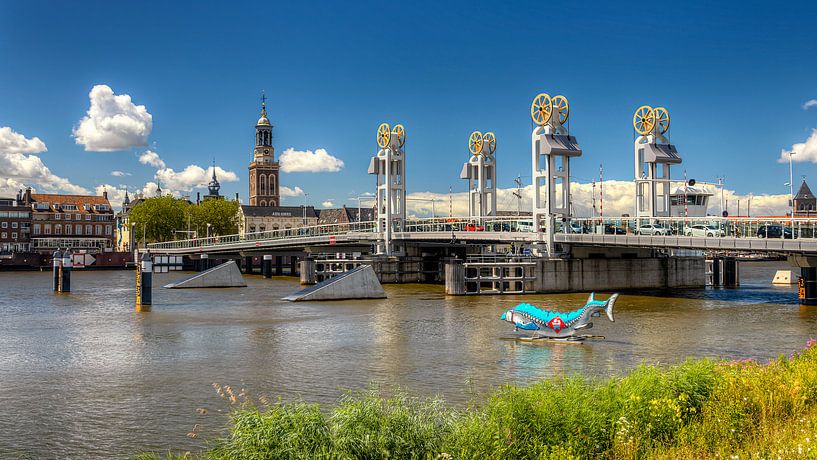 IJsselfront Kampen in de zomer van Erik Wilderdijk