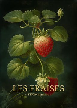Les Fraises - Aardbeien van Andreas Magnusson