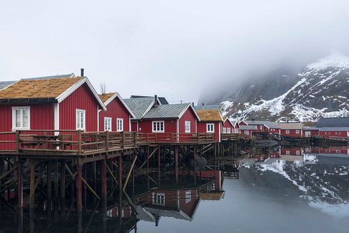 De charmantes cabanes rouges se reflètent sur les eaux calmes de Reine, dans la brume