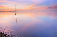 Oosterschelde, national park by Sander Poppe thumbnail