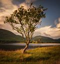 Kilchurn Castle by Wojciech Kruczynski thumbnail