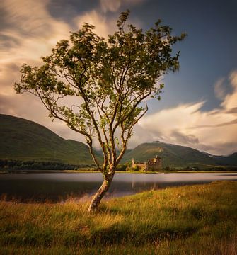 Kasteel Kilchurn van Wojciech Kruczynski