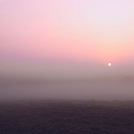 Nebliger Sonnenaufgang am Amerongse Berg von PhotoManiX Artworks