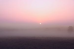 Mistige Zonsopkomst bij de Amerongse Berg
