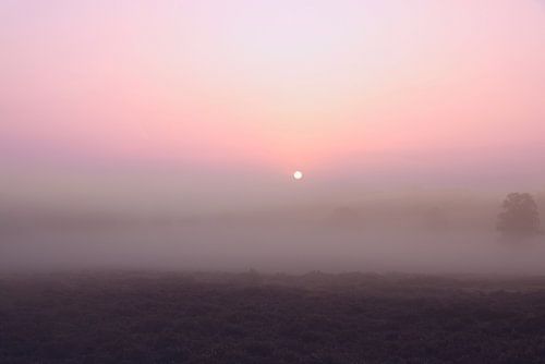 Mistige Zonsopkomst bij de Amerongse Berg van PhotoManiX Artworks