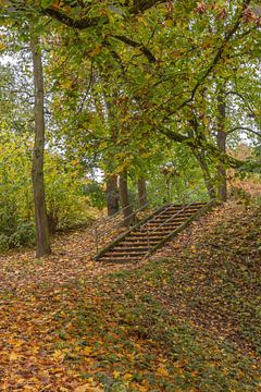 CONCEPT HERFST : HERFSTNIVEAUS van Michael Nägele