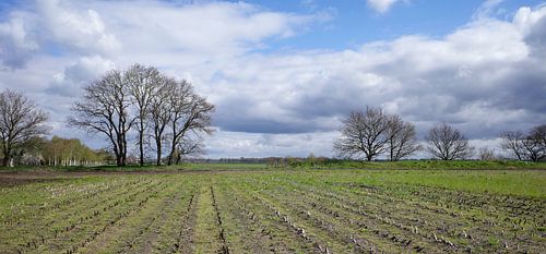 De grens tussen Nederland en Duitsland