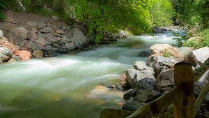 Wild waterstroom Colorado