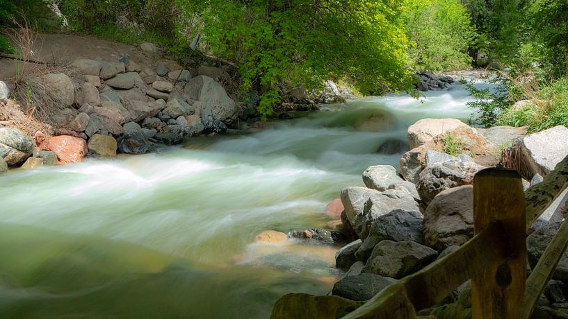 Wild waterstroom Colorado van Donny Kardienaal