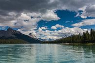 Maligne See von Ilya Korzelius Miniaturansicht